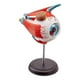 thumbnail image 2 of 𝐎𝐉𝐎 𝟒𝐃 𝐃𝐈𝐃𝐀́𝐂𝐓𝐈𝐂𝐎 𝐆𝐋𝐎𝐁𝐎  Ojo 4d Didáctico globo ocular Rompecabezas Puzzle Nc17, 2 of 7