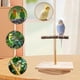 thumbnail image 5 of Juguete de percha para pájaros, juguete de madera natural para loros, soporte para percha y juguetes para masticar, palo para moler patas de periquito, accesorios para jaulas de pájaros pequeños: peri, 5 of 5
