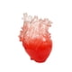 thumbnail image 4 of Florero En Forma De Corazón Maceta Corazón Esculturas Para Comedor Manto Novedad Rojo, 4 of 5