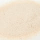 thumbnail image 2 of ReptiSand Zoo Med 4,5 kg para reptiles del desierto, 2 of 4