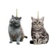 thumbnail image 1 of 2x Accesorios Colgantes Para Espejo Retrovisor De Coche Colgante Animal, 1 of 5