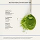 thumbnail image 5 of Matcha en polvo Blueprint Bryan Johnson grado ceremonial 30, 5 of 7