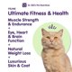 thumbnail image 3 of Suplemento Multivitamínico En Polvo Para Gatos Dr Bill’s Feline Ultimate Fitness, 3 of 9