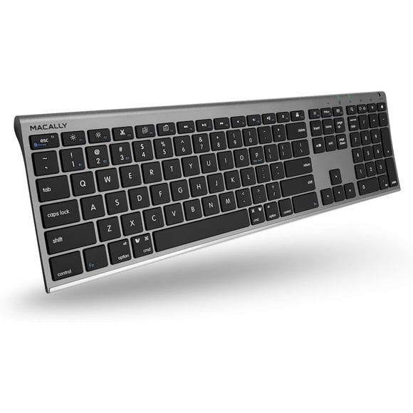 Teclado Bluetooth inalámbrico Macally ACEBTKEYSG Space Grey