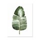thumbnail image 1 of ART ZONE - Póster con impresión artística en lienzo de hojas de plantas tropicales, cuadros de pared de plantas verdes nórdicas, pintura grande para habitación infantil, sin marco, 1 of 5