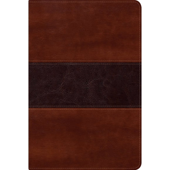 Biblia B&H Espanol RVR 1960 Fisher of Men, tamaño de la mano, caoba