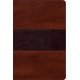 thumbnail image 1 of Biblia B&H Espanol RVR 1960 Fisher of Men, tamaño de la mano, caoba, 1 of 7
