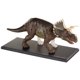 thumbnail image 3 of Modelo Anatómico Famemaster Triceratops 19 cm Visión 4D, 3 of 3