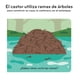 thumbnail image 2 of Primeros descubrimientos – Las casitas de los animales, 2 of 6