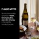 thumbnail image 4 of Oddbird Blanc de Blancs vino blanco sin alcohol 750 ml, 4 of 7