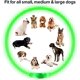 thumbnail image 4 of Collar Led Para Perros Flash Recargable Por Usb Seguridad Para Mascotas, 4 of 7