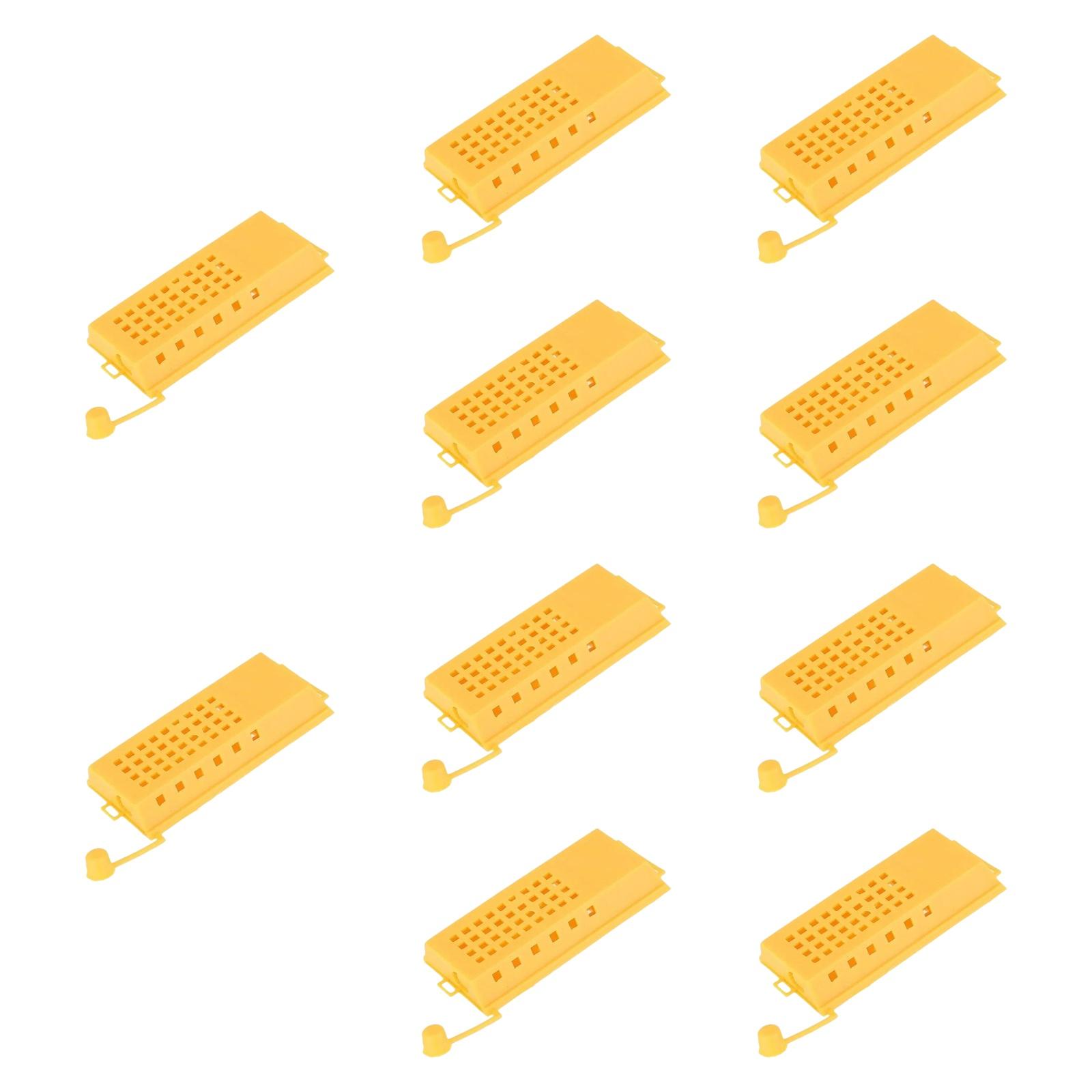 Magideal - 10 Piezas Reina Bee Cages Beekeepings Herramienta De Abejas Separación Premium Bee Cage Cabeza De Transporte De Carcasa Segura Herramientas De Cría De