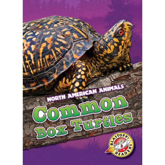 Libro BELLWETHER MEDIA: Tortugas de Caja Comunes (Nivel 3)