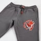 thumbnail image 3 of Pantalón de Buzo Niño Paw Patrol Dino Gris, 3 of 4