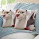 thumbnail image 3 of Liga de Supermascotas Fundas de almohada de terciopelo con tema, regalos de funda de almohada, decoración para el hogar, cojín de lanzar, regalo de cumpleaños para fans y parejas. 45cm x 45cm., 3 of 6