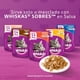 thumbnail image 5 of Alimento Seco Gato Adulto Sabor Carne Bolsa, 5 of 10