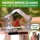 thumbnail image 3 of Alimentador de Aves para Ventana Nature Anywhere - Pack de 2 para Exterior, 3 of 6