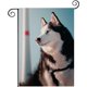 thumbnail image 1 of Bandera de Jardín Temática Husky Siberiano Desmarcar 28cm x 45cm, 1 of 5