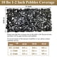 thumbnail image 3 of Black Pebbles Fantian de 1 a 2 pulgadas, 1 kg, para plantas de interior y decoración, 3 of 9