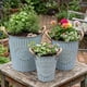 thumbnail image 2 of Set 3 Macetero Metalico Celeste Decorativo Con Asas Jardín, 2 of 7