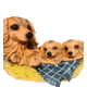 thumbnail image 3 of Figura Decorativa Colgante de Perritos 30cm, 3 of 3