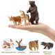 thumbnail image 4 of Figuras de animales Toymany North American Forest x12, 4 of 9