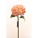 thumbnail image 1 of Hortensia Rosada 52 Cm, 1 of 1
