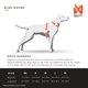 thumbnail image 3 of Arnés para perro Non‑stop dogwear M negro/naranja con 3 clips, 3 of 9