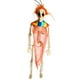 thumbnail image 2 of Figura Decorativa De Esqueleto De Halloween De 40 Cm Con Huesos Para Jardín, Cementerio, Césped, Color Naranja, 2 of 3