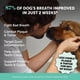thumbnail image 2 of Polvo Dental Perros Pet Honesty Aliento Fresco 60 Porciones, 2 of 3