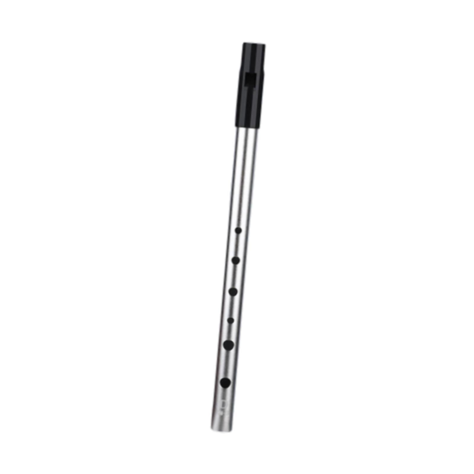 Bothyi - Flauta De Silbato Portátil De 6 Agujeros, Fácil De Limpiar, Para Niños, Principiantes, Amantes De La Música, Llave En D, Color Plata