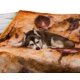 thumbnail image 4 of Manta redonda de forro polar Toynk con chispas de chocolate y galletas, 4 of 7