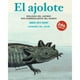 thumbnail image 1 of El Ajolote Biologia Del Anfibio Mas Sobresaliente Del Mundo, 1 of 2
