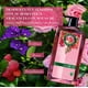 thumbnail image 5 of Shampoo Herbal Essences Smooth Rose Hips, 5 of 6